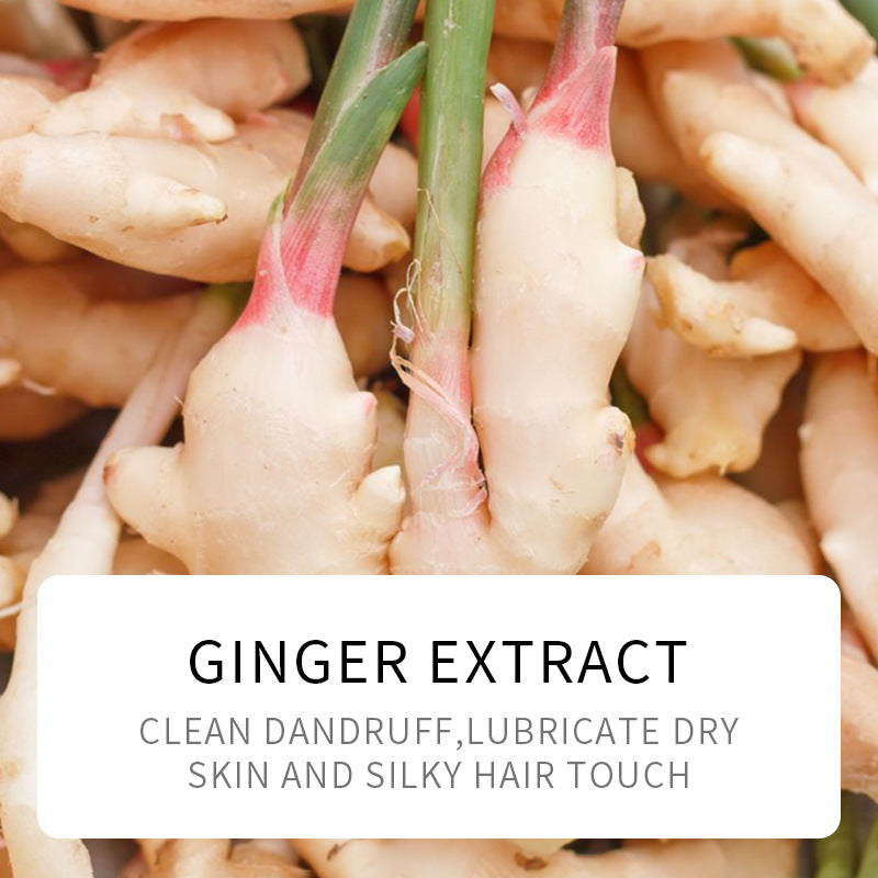 SADOER Ginger Fresh Shampoo and Hair Mask (Wholesale)